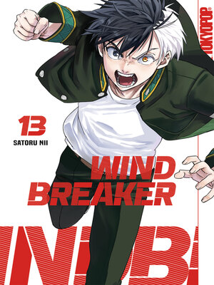 cover image of Wind Breaker, Band 13
